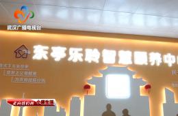 中宣部采访团到访武汉东亭社区rg皇家视讯智慧保养中心