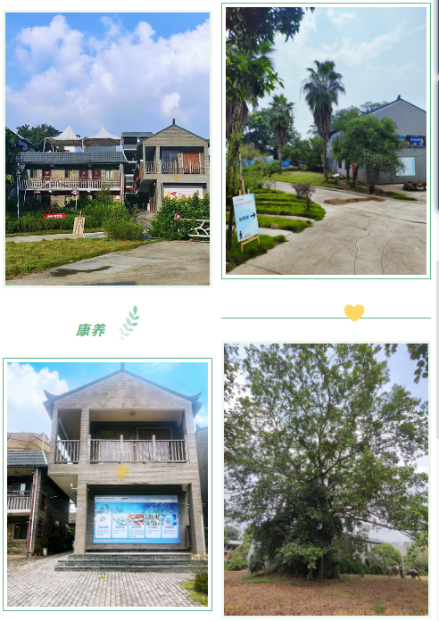 首页-RG皇家视讯厅真人官方网站